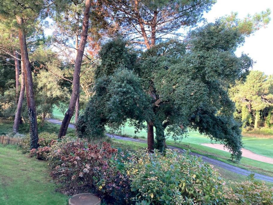 Vue Golf Dans Residence Nature "Sympalappart" Moliets-et-Maa Buitenkant foto
